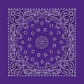 Domestic Purple Paisley Bandanna